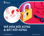 Hiểu về Mã hóa Đối xứng và Bất đối xứng: Nền tảng của giao tiếp an toàn trên mạng