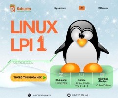 LPI là gì? Hướng dẫn hệ thống các chứng chỉ LPI và lộ trình học tập cho người mới bắt đầu.