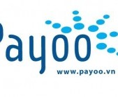 Payoo tuyển dụng vị trí Application Admin (DevOps) Fresher